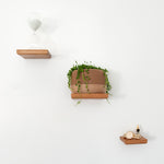 Minimus Floating Shelf