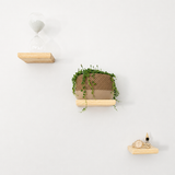 Minimus Pine Floating Shelf