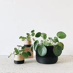 Apple Black Planter