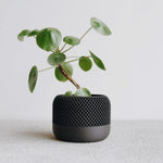 Apple Black Planter