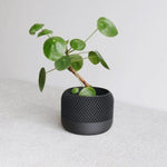 Apple Black Planter