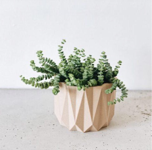 Origami Natural Planter