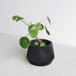 Oslo Black Planter