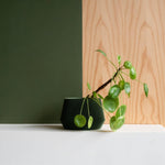 Oslo Green Planter