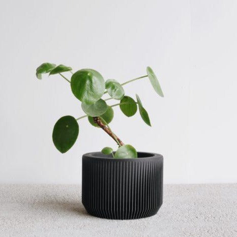 Praha Black Planter