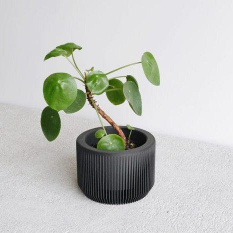 Praha Black Planter