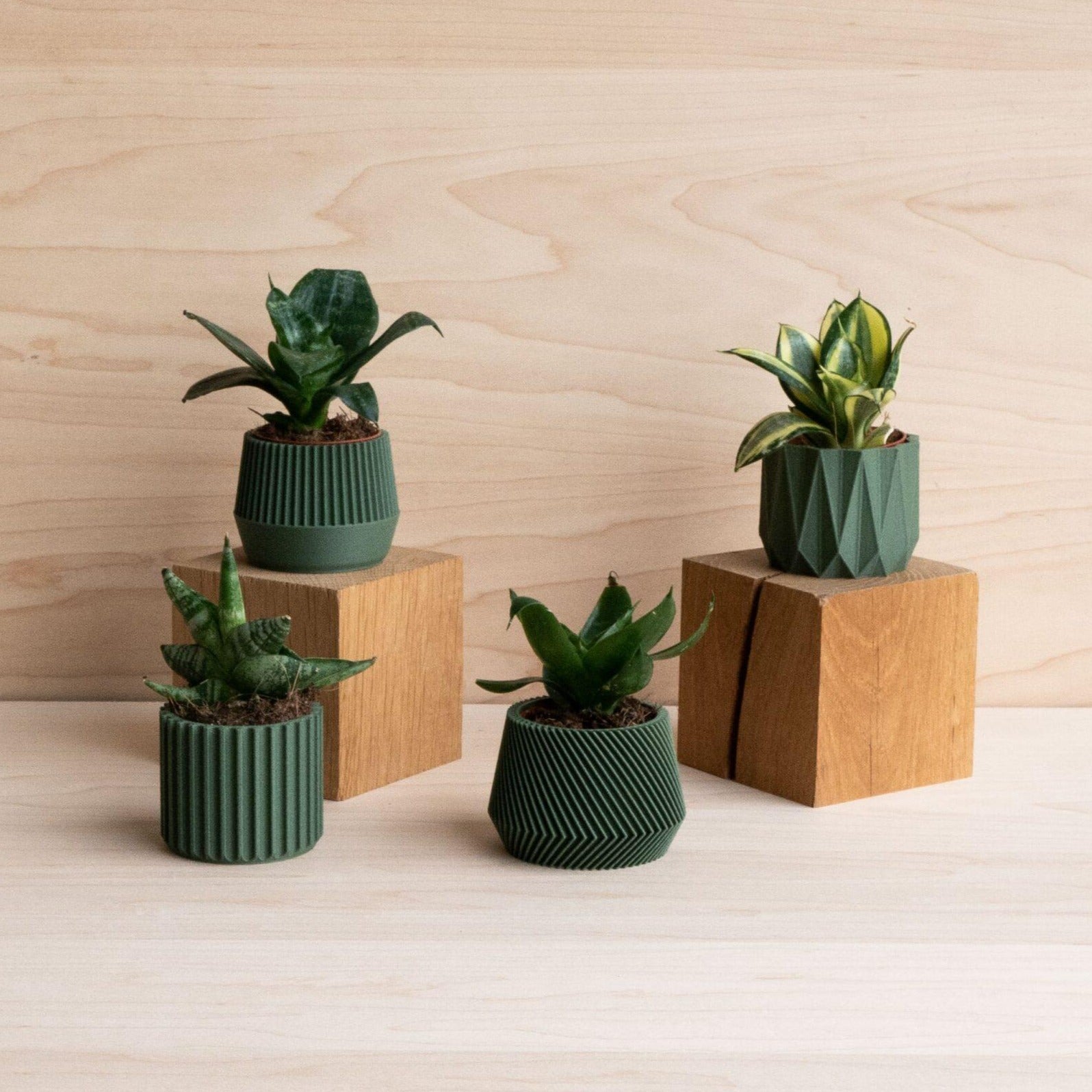 Oslo Origami Kobe Stockholm Green - Set of 4 planters