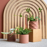 Piko Diamant Japan Terracotta - Set of 3 Planters